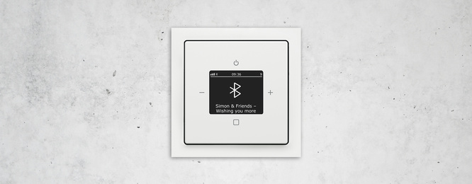 Busch-Radio Btconnect bei Elektro-Service Kießling GmbH in Großenhain OT Uebigau